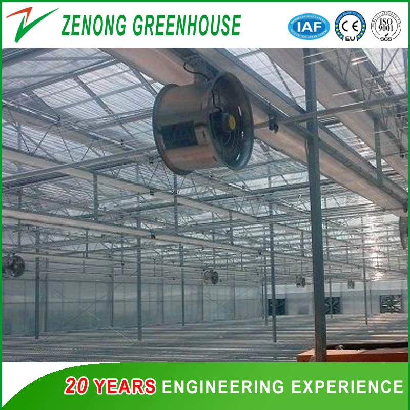 Circulating Fan for Ventilation of Greenhouse with Cheap Price