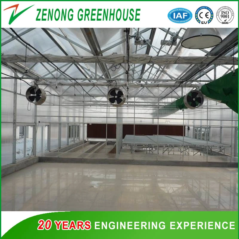 Circulating Fan for Ventilation of Greenhouse with Cheap Price